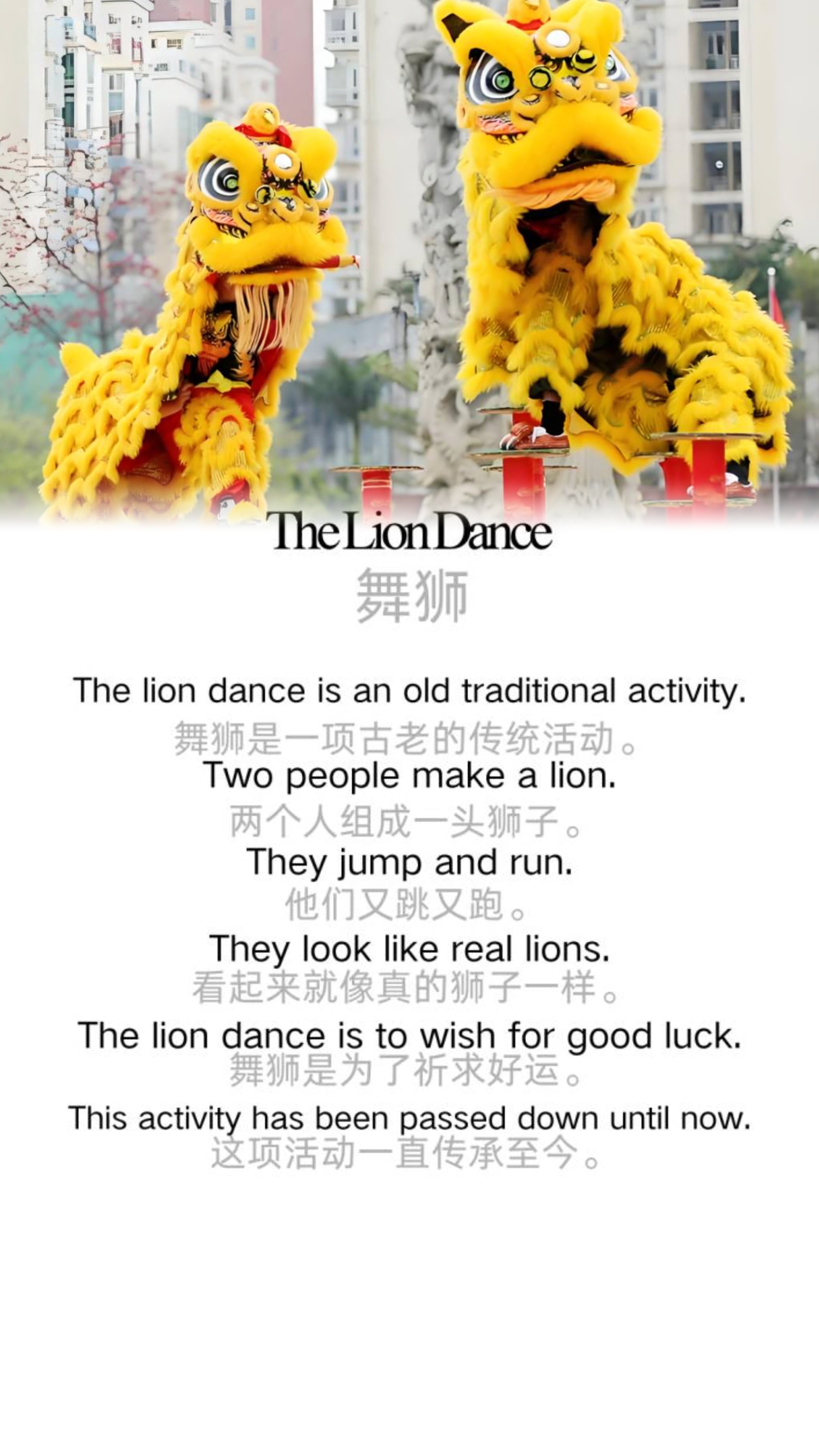 The Lion Dance 舞狮