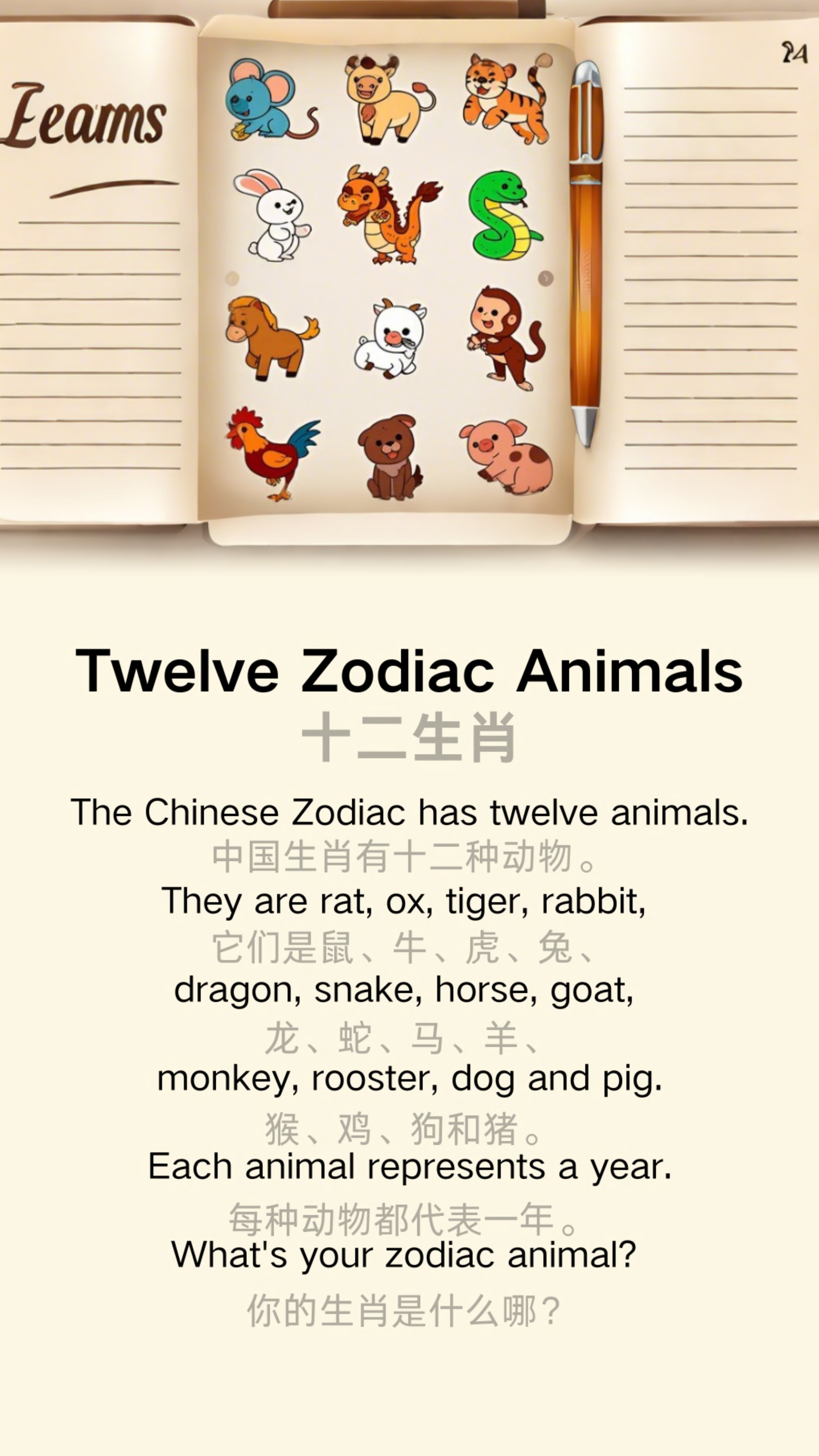 Twelve Zodiac Animals 十二生肖